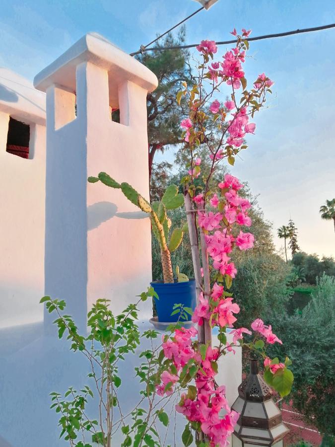 Riad Elli Marrakech Marrakesh Exteriör bild